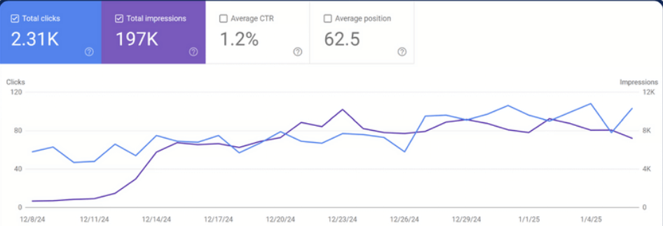 Search Console Results